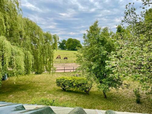 Foto - 2 Zimmer Dachgeschoßwohnung zur Miete in Hoisdorf