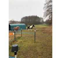 Grundstück zur Pacht - 250,00&nbsp;EUR Kaltmiete, ca.&nbsp; 0,00&nbsp;m&sup2; in Crivitz (PLZ: 19089)