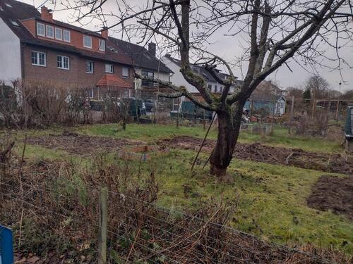 Foto - Schrebergarten ca.250qm - 559,00&nbsp;EUR Kaltmiete, ca.&nbsp; 0,00&nbsp;m&sup2;