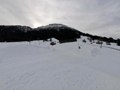 Foto - Ersatzmieter Allgäu Skiurlaub Fasching Winterferien Königscard