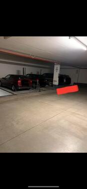 Foto - andere in Dresden