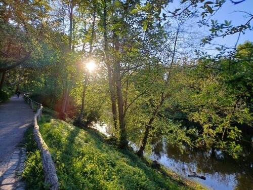 Foto - 1 Zimmer Etagenwohnung zum Kaufen in Berlin