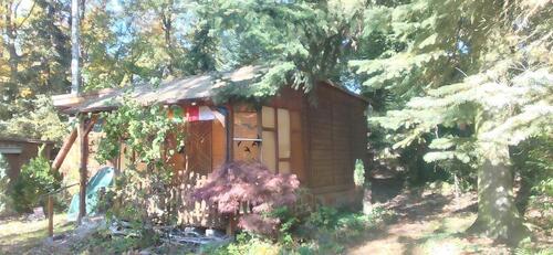 Foto - Wochenendgrundstück Bungalow Eigentumsland Dahlener Heide