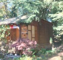 Wochenendgrundstück Bungalow Eigentumsland Dahlener Heide - Oschatz