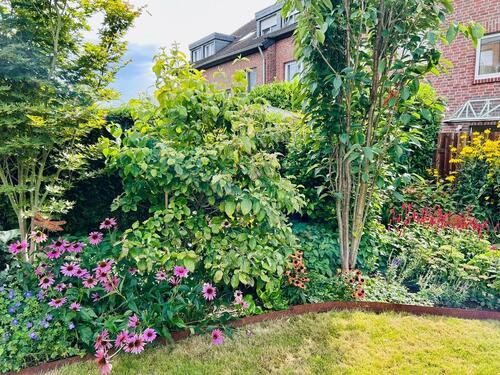 Foto - Etagenwohnung in Krefeld