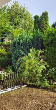 Foto - 3 Zimmer Hochparterre zur Miete in Saarbrücken