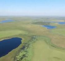 Investitionsmöglichkeit: 1.200 Hektar in Ñeembucú, Paraguay - Germering