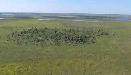 Foto - andere in Germering