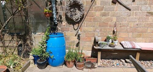 Foto - Einfamilienhaus in Weste zum Kaufen