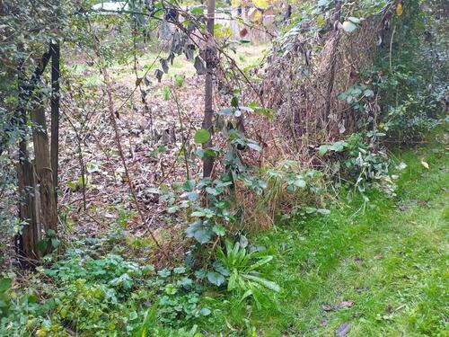 Foto - Grundstück zu verpachten - 600,00 EUR Kaltmiete, ca.  0,00 m²