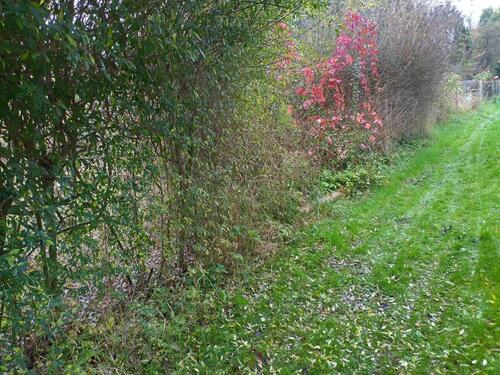 Foto - Grundstück zur Miete in Storkow (Mark)
