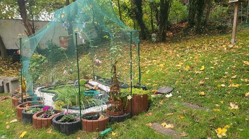 Foto - Einfamilienhaus zur Miete in Bad Doberan