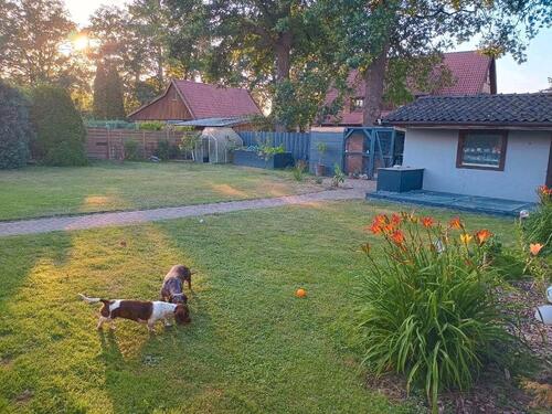 Foto - Einfamilienhaus in Wedemark zum Kaufen
