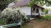 Foto - andere zur Miete in Hartha