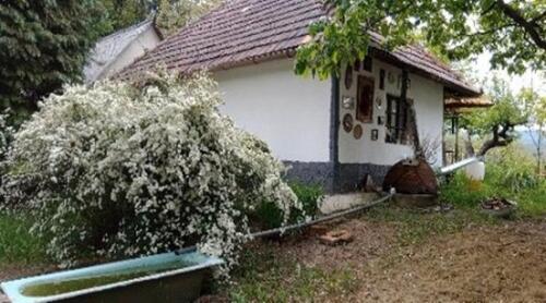 Foto - andere zur Miete in Hartha