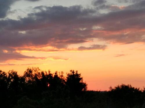 Foto - In Naturlage & Barrierefrei - 700,00 EUR Kaltmiete,