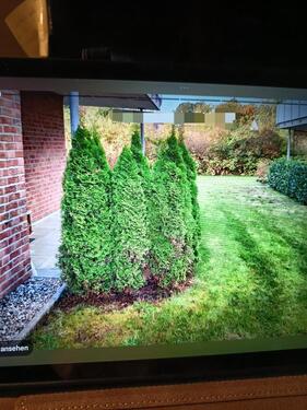 Foto - 2.5 Zimmer Terrassenwohnung zum Kaufen in Hanstedt