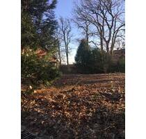 3 Parzellen, Grundstück für Tiny House Modulhäuser zu vermieten - Wasbek