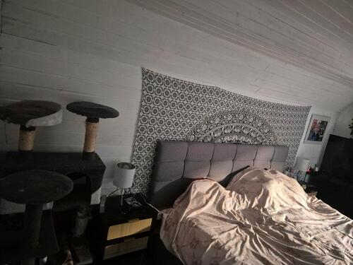 Foto - 