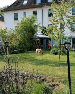 Foto - 15 Zimmer Doppelhaushälfte in Lüdenscheid