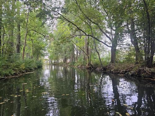 Foto - Wochenende Kurzurlaub im Spreewald für 2 Pers