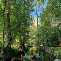 Foto - andere in Lübbenau (Spreewald)