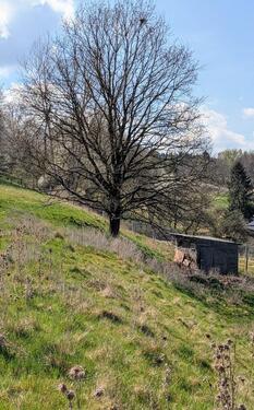 Foto - 199 €Monat - 5.007 m² eingezäunte Weide mit Bachlauf & Hütte