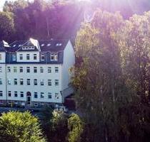 1-Raum-Wohnung mit moderner Einbauküche in ruhiger Lage von Annaberg-Buchholz!