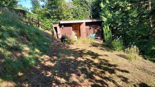 Foto - Einfamilienhaus in Stadtroda zum Kaufen