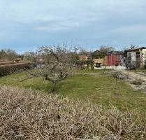 Pachtgarten abzugeben in Finsterwalde