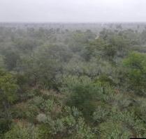 Fokus auf Investment & Zukunft 5000 ha in Paraguay - Germering