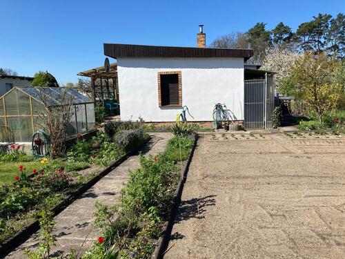 Foto - gepflegter Garten in einer Kleingartenanlage