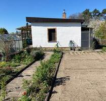 gepflegter Garten in einer Kleingartenanlage - Cottbus