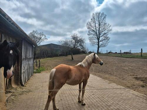Foto - Einfamilienhaus in Meinerzhagen