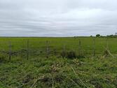 Foto - Investment-Chance: 3.800 ha in Paraguay