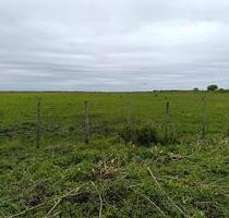 Investment-Chance: 3.800 ha in Paraguay - Germering
