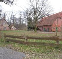 Großes Bauernhaus mit diversen Nebengebäuden - Wietzen