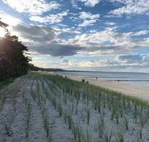 Usedom 300 m zum Strand! Ferienhaus m. 2 Wohnungen + Nebengelass. - Zinnowitz