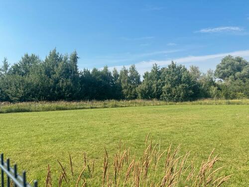 Foto - andere in Agathenburg