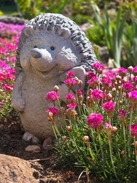 Foto - Grundstück in Schwerin