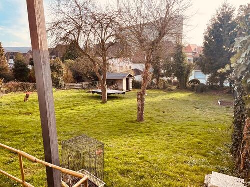 Foto - Mehrfamilienhaus, Wohnhaus in Arnsberg zum Kaufen