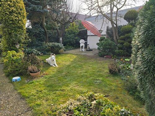 Foto - 4 Zimmer Bungalow zum Kaufen in Stuhr