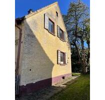 Doppelhaushälfte in Römerberg-Berghausen - Schifferstadt Doppelhaushälfte in Römerberg-Berghausen - Schifferstadt