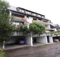 Feldberg-Altglashütten: schöne 2 Zi-Wohnung mit Aussicht - Feldberg (Schwarzwald)