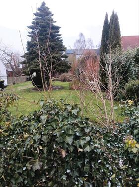 Foto - Grundst&uuml;ck zur Miete in Bad Oeynhausen