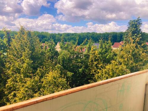 Foto - Sonnige 2.5-Raum-DG-Wohnung (ein Monat kostenlos)