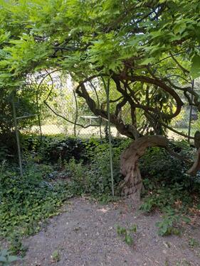 Foto - charmante Doppelhaushälfte - 400.000,00&nbsp;EUR Kaufpreis, ca.&nbsp; 125,00&nbsp;m&sup2;