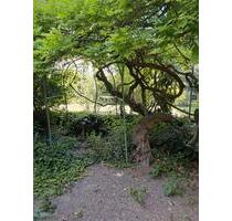 charmante Doppelhaushälfte - 400.000,00&nbsp;EUR Kaufpreis, ca.&nbsp; 125,00&nbsp;m&sup2; in Ludwigshafen am Rhein (PLZ: 67061) Parkinsel