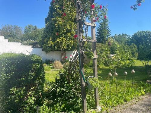 Foto - 7 Zimmer Doppelhaushälfte in Düren