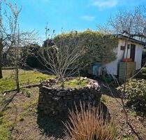 Kleingarten Laubengarten in Ströbitz - Cottbus